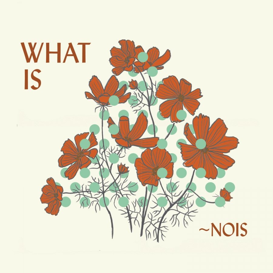 Nois - What Is ~Nois? ryhmässä CD / Kommande / Pop-Rock @ Bengans Skivbutik AB (5673075)