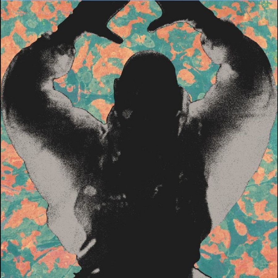 Startled Insects - The Antenna Years ryhmässä VINYYLI / Kommande / Pop-Rock @ Bengans Skivbutik AB (5673092)