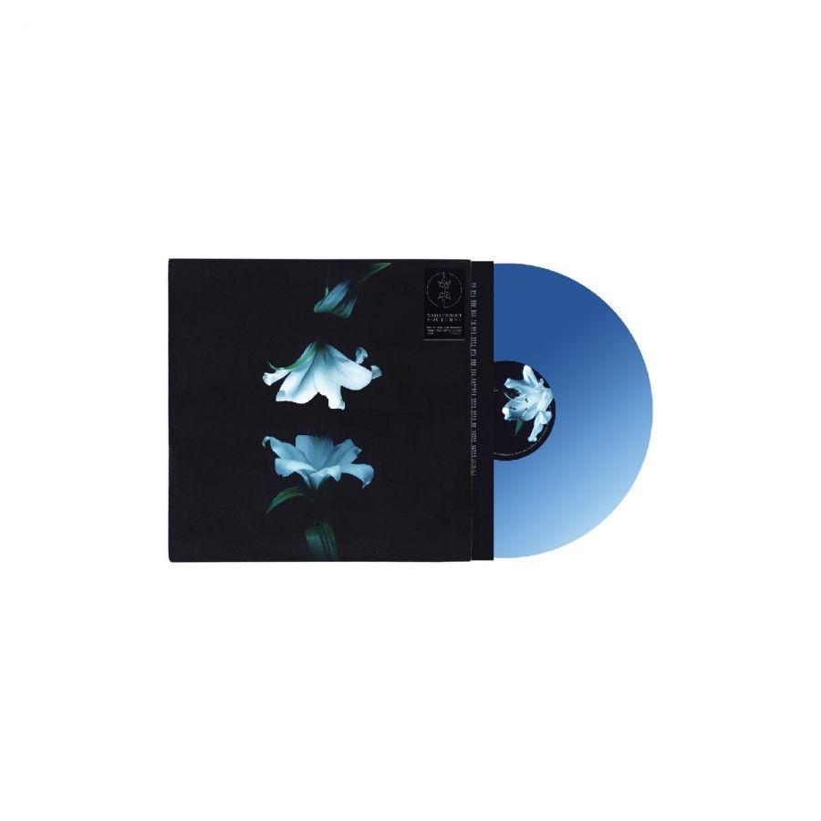Wasia Project - Nocturne (Indies Exclusive Blue Vin ryhmässä VINYYLI / Kommande / Pop-Rock @ Bengans Skivbutik AB (5673118)