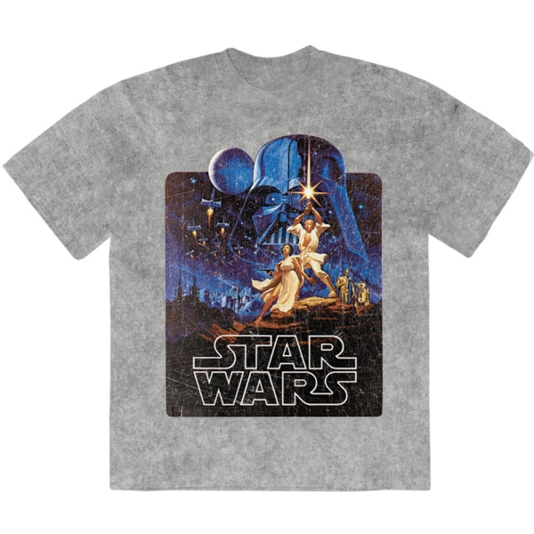 Star Wars - Luke & Leia Pose Stone Wash Uni Grey T-Shirt ryhmässä MERCHANDISE / T-paita / Nyheter / Film-Musikal @ Bengans Skivbutik AB (5674597r)