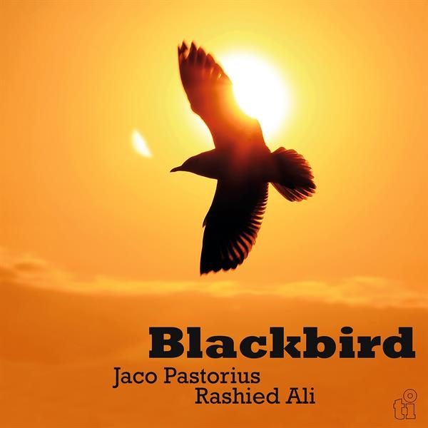 Jaco Pastorius & Rashied Ali - Blackbird ryhmässä VINYYLI / Kommande / Pop-Rock @ Bengans Skivbutik AB (5675105)