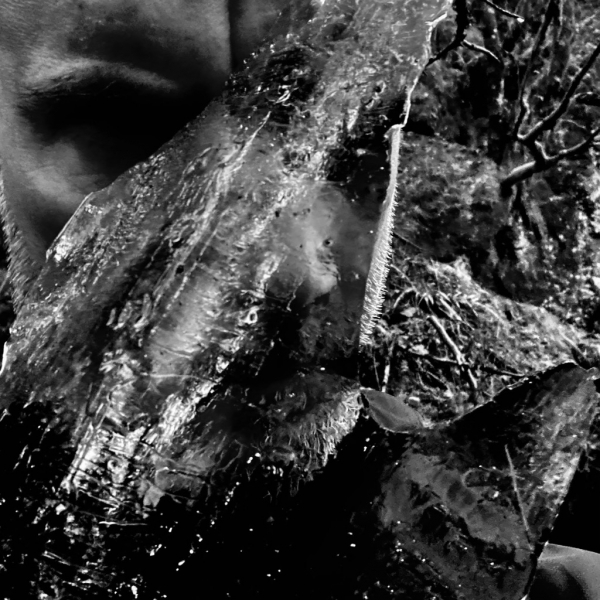 Taake - En Skog Av Nidstang (Cd Jewel Case) ryhmässä CD / Kommande / Hårdrock @ Bengans Skivbutik AB (5676429)