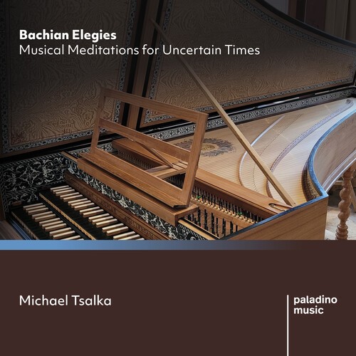 Michael Tsalka - Bachian Elegies - Musical Meditatio ryhmässä CD / Klassiskt @ Bengans Skivbutik AB (5676584)