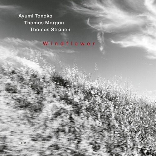 Ayumi Tanaka Thomas Morgan Thomas - Windflower ryhmässä ME SUOSITTELEMME / Perjantain julkaisut / 2026-08-21 @ Bengans Skivbutik AB (5678178)