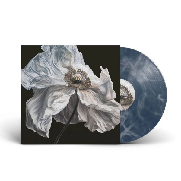 Quicksand - Bring On The Psychics ryhmässä VINYYLI / Kommande / Pop-Rock @ Bengans Skivbutik AB (5678301)
