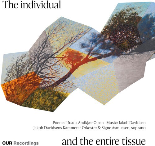 Jakob Davidsen - The Individual And The Entire Tissu ryhmässä CD / Klassiskt @ Bengans Skivbutik AB (5678449)
