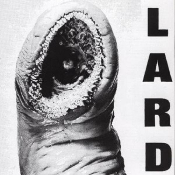 Lard - The Power Of Lard ryhmässä VINYYLI / Pop-Rock @ Bengans Skivbutik AB (5678481)