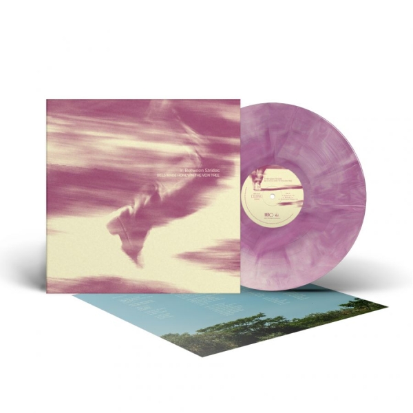 Bees Made Honey In The Vein Tree - In Between Strides (Galaxy Vinyl Lp ryhmässä VINYYLI / Kommande / Hårdrock @ Bengans Skivbutik AB (5678863)
