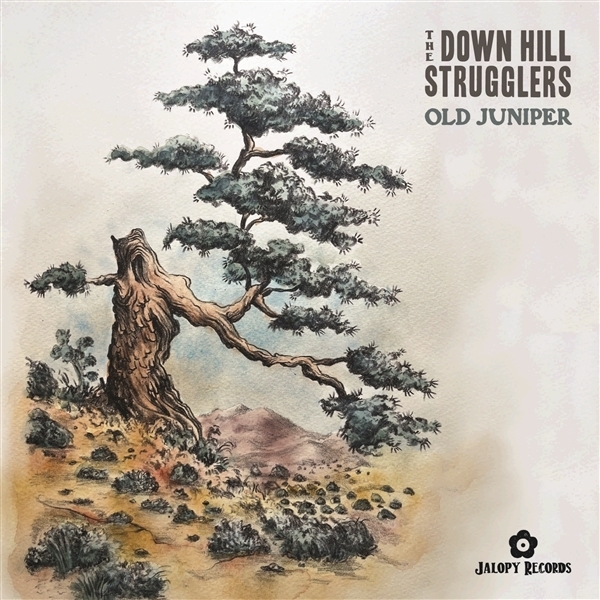 The Down Hill Strugglers - Old Juniper ryhmässä VINYYLI / Country @ Bengans Skivbutik AB (5679399)