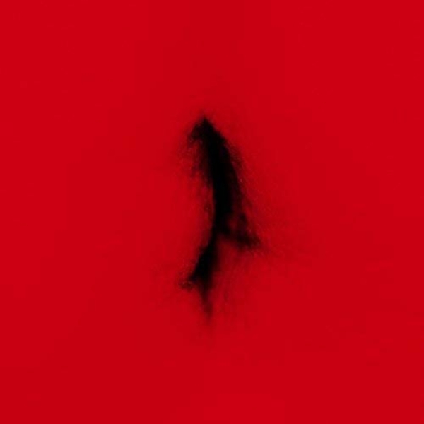 Dingwei - Untied ryhmässä VINYYLI / Pop-Rock @ Bengans Skivbutik AB (5679696)