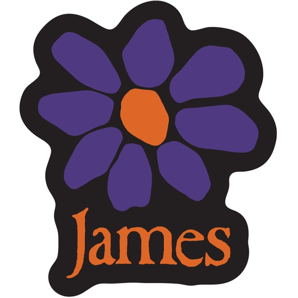 James - Orange Logo Purple Daisy Sticker ryhmässä MERCHANDISE / Merch / Kommande / Pop-Rock @ Bengans Skivbutik AB (5680924)