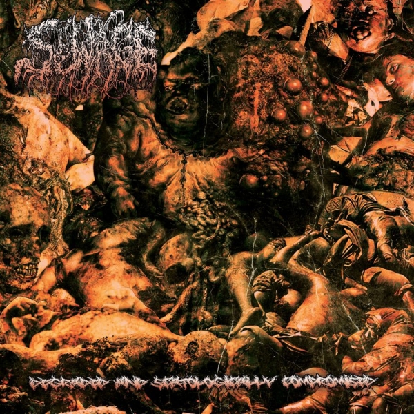 Sewage - Degraded And Scatologically Comprom ryhmässä CD / Nyheter / Hårdrock @ Bengans Skivbutik AB (5681898)