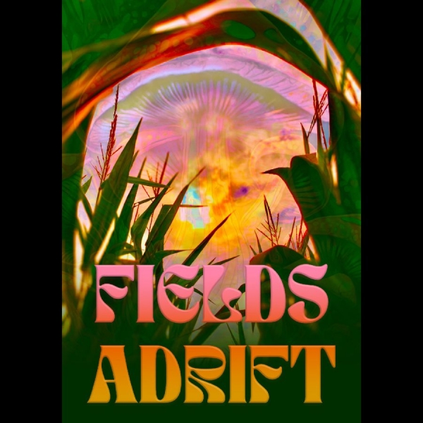 Various Artists - Fields Adrift ryhmässä Musiikki-DVD & Bluray / Kommande @ Bengans Skivbutik AB (5682029)