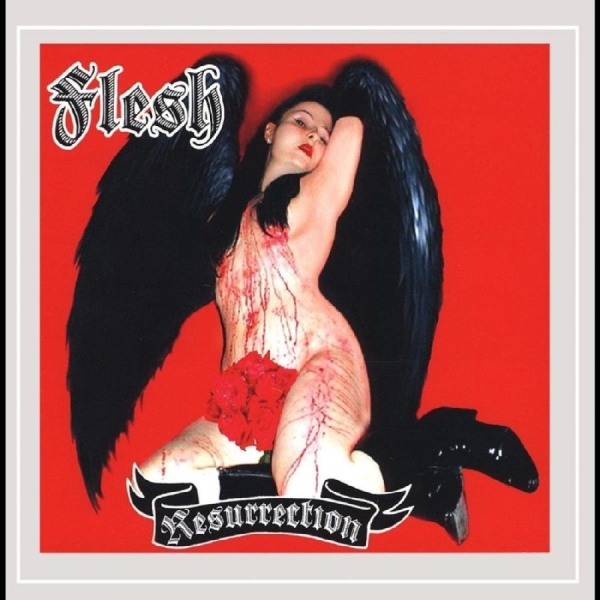 Flesh - Resurrection ryhmässä CD / Nyheter / Pop-Rock @ Bengans Skivbutik AB (5682243)