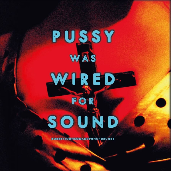 Johnson Robert And Punchdrunks - Pussy Was Wired For Sound (Orange V ryhmässä VINYYLI / Kommande / Pop-Rock @ Bengans Skivbutik AB (5682571)