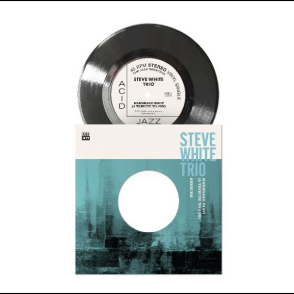 Steve White Trio - Mandrake Root (A Tribute To Jon) ryhmässä VINYYLI / Kommande / Jazz @ Bengans Skivbutik AB (5682807)