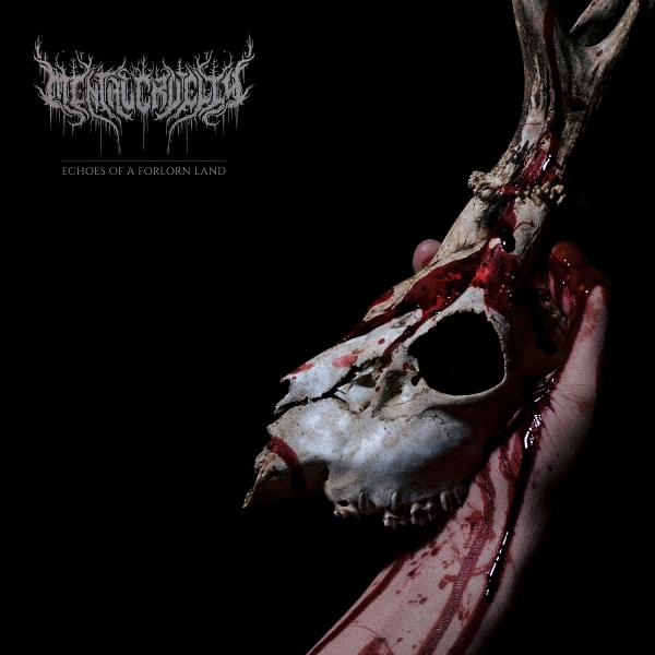 Cruelty Mental - Echoes Of A Forlorn Land ryhmässä CD / Eniten ennakkotilatut @ Bengans Skivbutik AB (5683722)