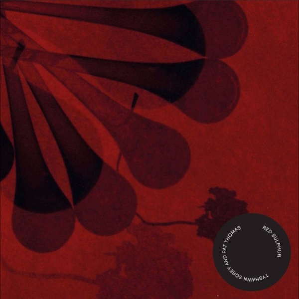 Tyshawn Sorey & Pat Thomas - Red Sulphur ryhmässä CD / Kommande / Jazz @ Bengans Skivbutik AB (5685846)