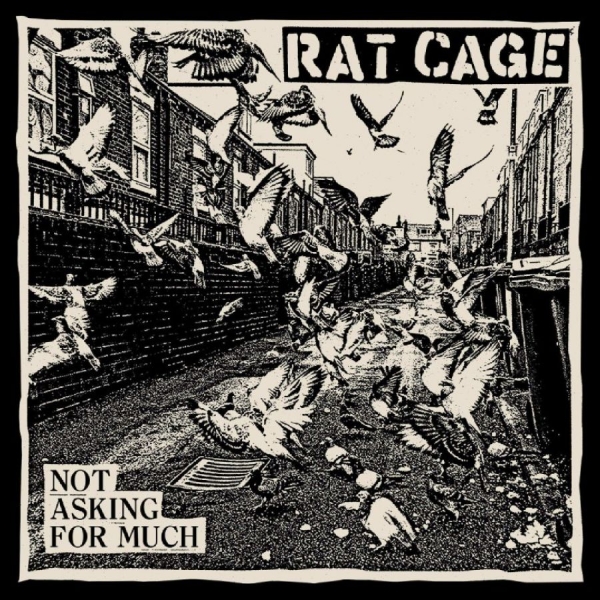 Rat Cage - Not Asking For Much ryhmässä VINYYLI / Kommande / Pop-Rock @ Bengans Skivbutik AB (5685851)