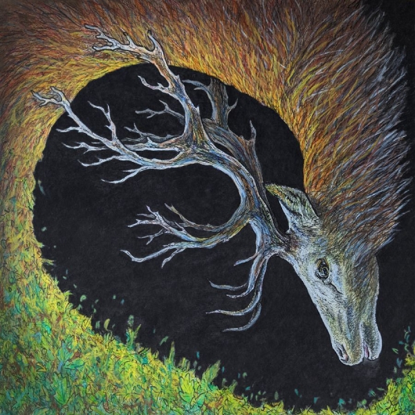 Petrels - Infangthief (Deluxe Edition, Clear ryhmässä VINYYLI / Kommande / Pop-Rock @ Bengans Skivbutik AB (5686010)