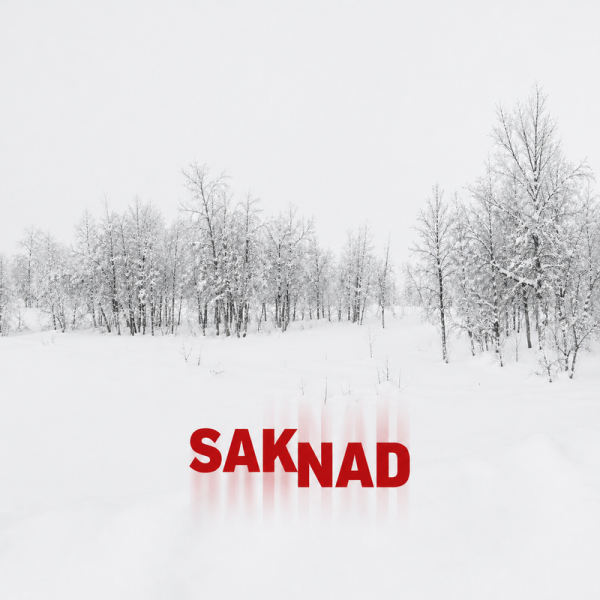 Saknad - Saknad (Black Vinyl LP) ryhmässä VINYYLI / Nyheter / Pop-Rock @ Bengans Skivbutik AB (5686143)