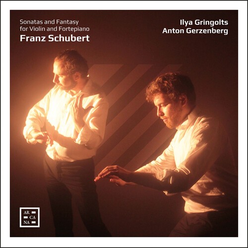 Franz Schubert - Sonatas And Fantasy For Violin And ryhmässä CD / Klassiskt @ Bengans Skivbutik AB (5686348)