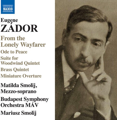Eugene Zador - From The Lonely Wayfarer ryhmässä CD / Klassiskt @ Bengans Skivbutik AB (5686402)