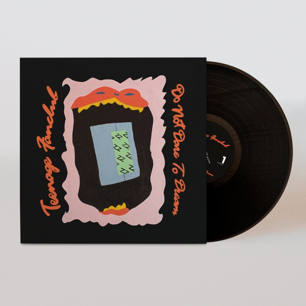 Teenage Fanclub - Do Not Dare To Dream ryhmässä VINYYLI / Pop-Rock @ Bengans Skivbutik AB (5686785)