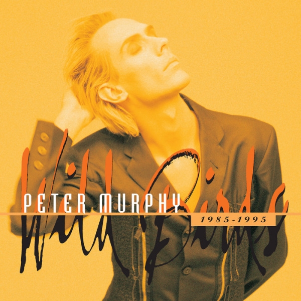 Peter Murphy - Wild Birds 1984-1995 ryhmässä CD / Myydyimmät @ Bengans Skivbutik AB (5687121)