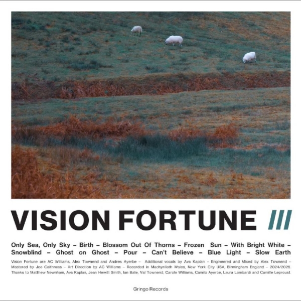Vision Fortune - Iii ryhmässä VINYYLI / Kommande / Pop-Rock @ Bengans Skivbutik AB (5687291)