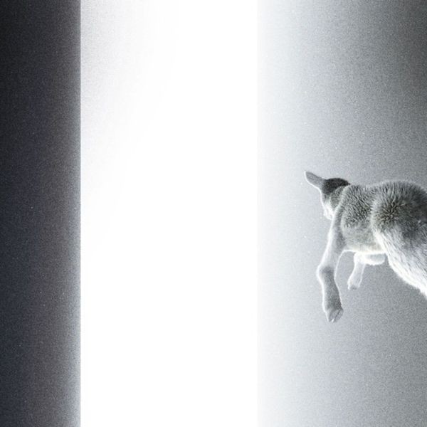 Panoram - Keep Looking Where The Light Comes ryhmässä VINYYLI / Pop-Rock @ Bengans Skivbutik AB (5687594)