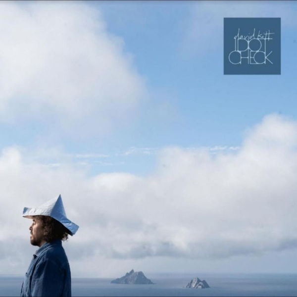 Kitt David - Idiot Check ryhmässä VINYYLI / Myydyimmät @ Bengans Skivbutik AB (5687622)