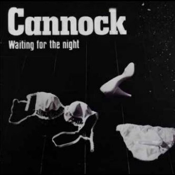 Cannock - Waiting For The Night ryhmässä VINYYLI / Myydyimmät @ Bengans Skivbutik AB (5687817)