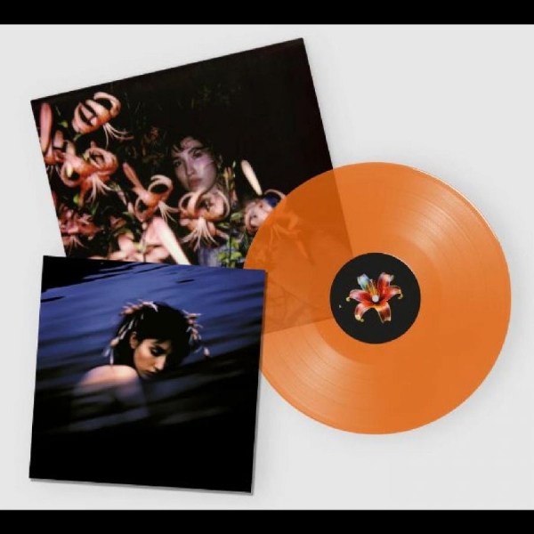 Hurt Shirley - Hurt, Shirley ryhmässä VINYYLI / Myydyimmät @ Bengans Skivbutik AB (5687829)