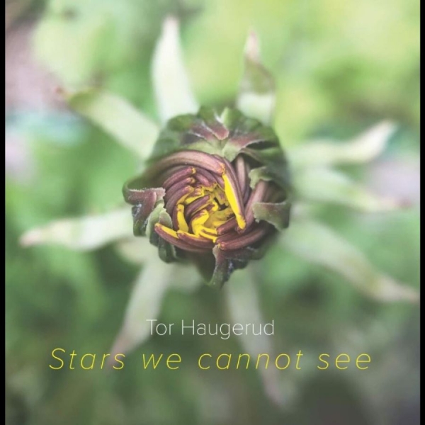 Haugerudtor - Stars We Cannot See (Vinyl) ryhmässä VINYYLI / Jazz @ Bengans Skivbutik AB (5687891)