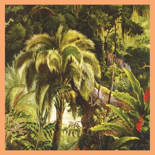 Xiu Xiu - La Foret (Jade Eco-Mix Vinyl) ryhmässä VINYYLI / Kommande / Pop-Rock @ Bengans Skivbutik AB (5688014)