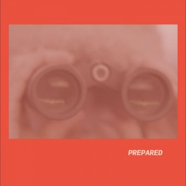 Martin Laura J - Prepared ryhmässä VINYYLI / Myydyimmät @ Bengans Skivbutik AB (5688064)