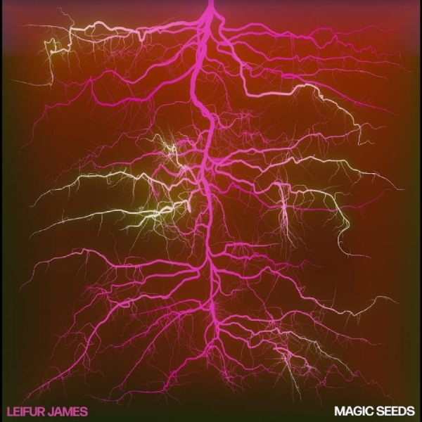 Leifur James - Magic Seeds ryhmässä VINYYLI / Myydyimmät @ Bengans Skivbutik AB (5688183)