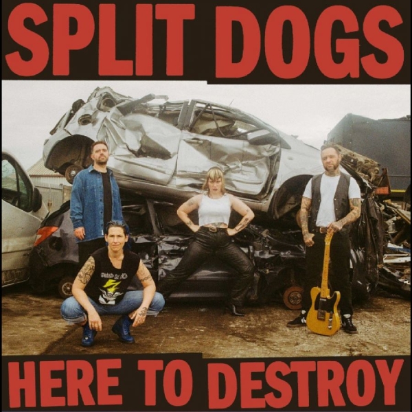 Split Dogs - Here To Destroy ryhmässä VINYYLI / Myydyimmät @ Bengans Skivbutik AB (5688189)