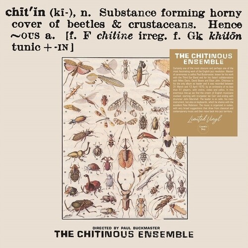 The Chitinous Ensemble - Chitinous ryhmässä VINYYLI / Jazz @ Bengans Skivbutik AB (5688608)