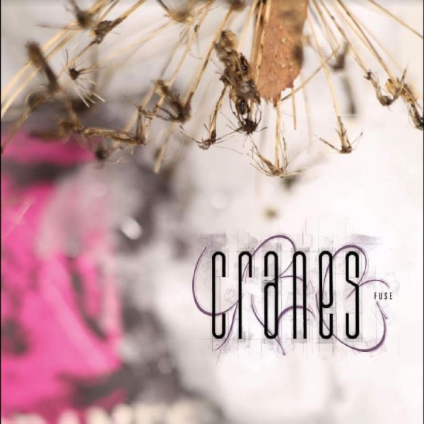 Cranes - Fuse ryhmässä CD / Myydyimmät @ Bengans Skivbutik AB (5689502)