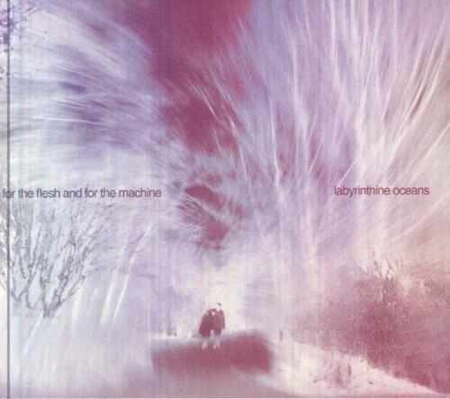 Labyrinthine Oceans - For The Flesh And For The Machine ryhmässä CD / Pop-Rock @ Bengans Skivbutik AB (5689829)