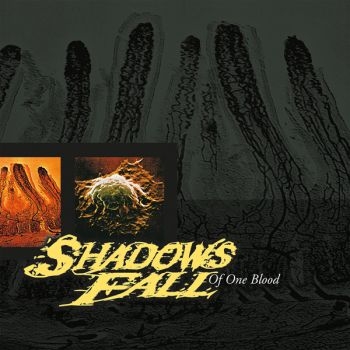 Shadows Fall - Of One Blood ryhmässä CD / Hårdrock @ Bengans Skivbutik AB (5689989)