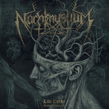 Nachtmystium - Live Decay: Roadburn 2012 ryhmässä CD / Hårdrock @ Bengans Skivbutik AB (5690013)