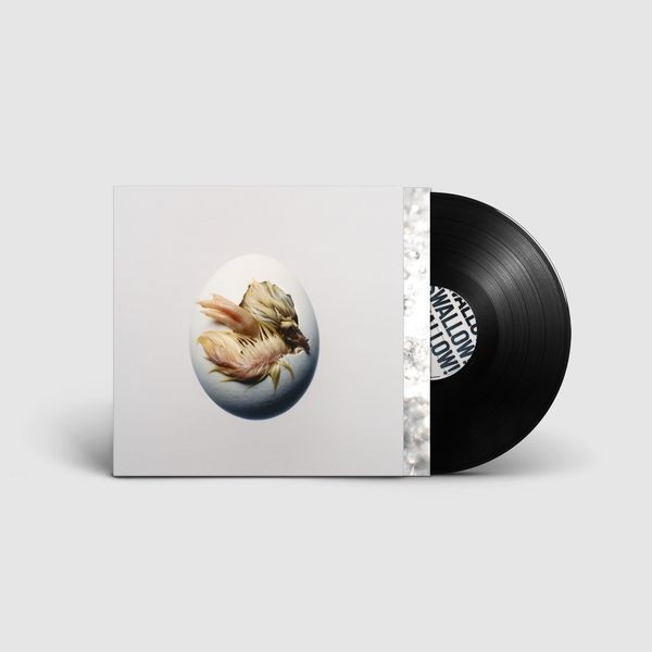 Shygirl - Swallow! (Vinyl) ryhmässä VINYYLI / Pop-Rock @ Bengans Skivbutik AB (5690516)