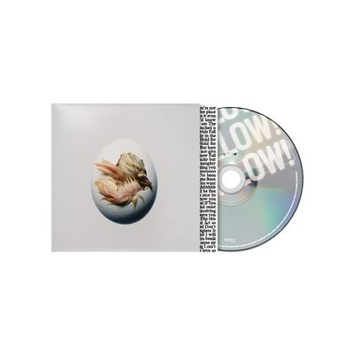Shygirl - Swallow! ryhmässä CD / Kommande / Pop-Rock @ Bengans Skivbutik AB (5690618)