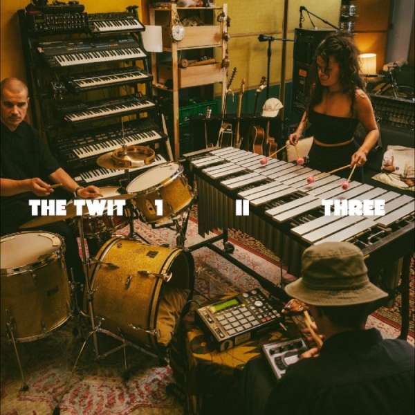 The Twit 1 Ii Three - The Twit 1, Ii, Three ryhmässä VINYYLI / Kommande / Jazz @ Bengans Skivbutik AB (5690885)