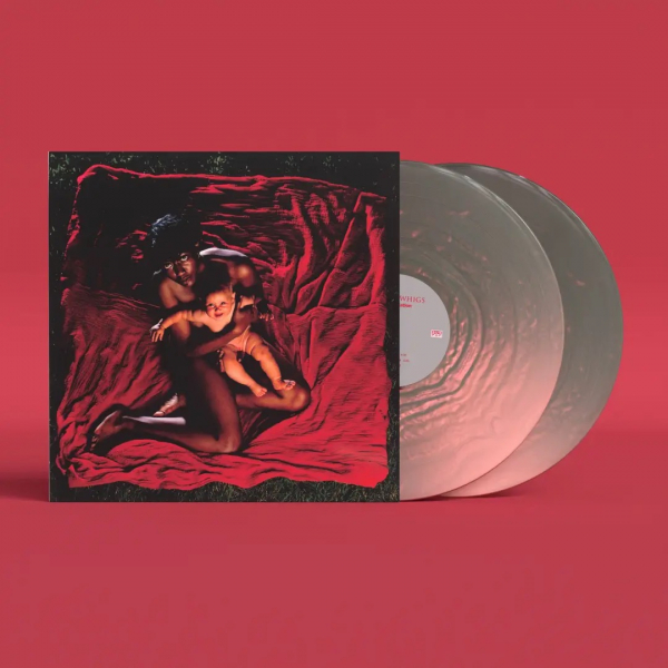 Afghan Whigs - Congregation (Anniversary Edition P ryhmässä VINYYLI / Kommande / Pop-Rock @ Bengans Skivbutik AB (5692372)