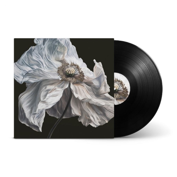 Quicksand - Bring On The Psychics ryhmässä VINYYLI / Pop-Rock @ Bengans Skivbutik AB (5693558)