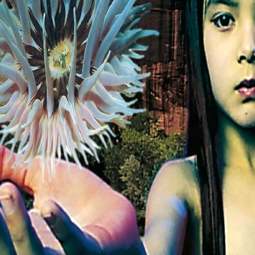 The Future Sound Of London - Lifeforms ryhmässä VINYYLI / Myydyimmät @ Bengans Skivbutik AB (5693618)